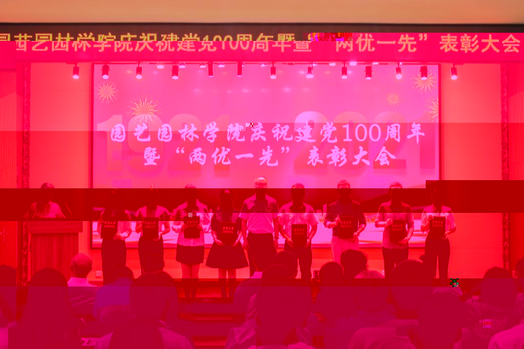 頒發證書