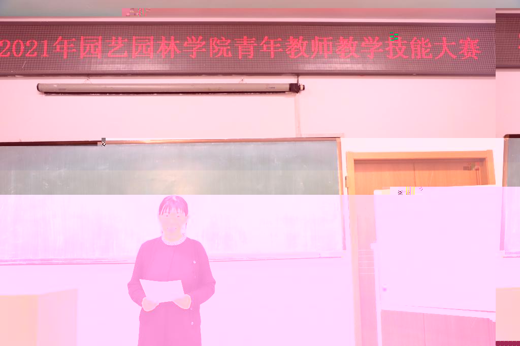 黨委副書記、工會主席楊楠主持比賽